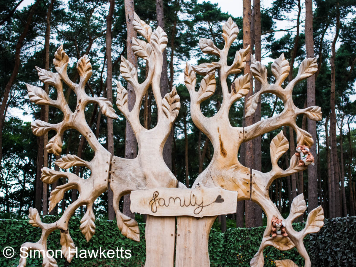 Ricoh GXR sample pictures - Family Tree