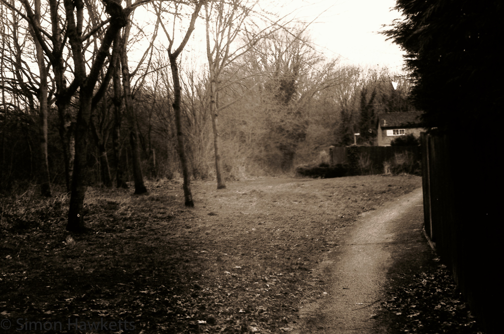 Yashica MG-1 sample pictures - Path by the railway line