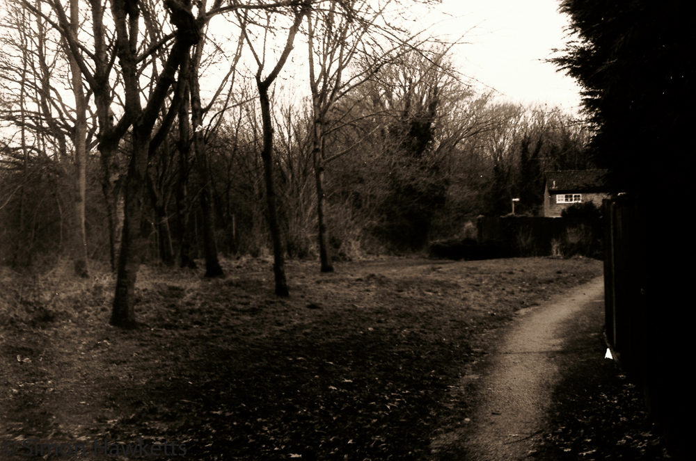 Yashica MG-1 sample pictures - Path by the railway line