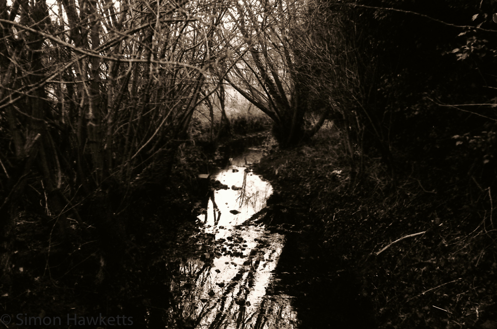 Yashica MG-1 sample pictures - Stream