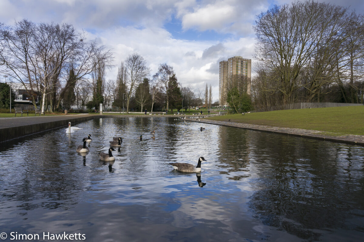 Sony Nex 6 sample pictures - Stevenage Town centre park