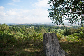 Leicestershire view