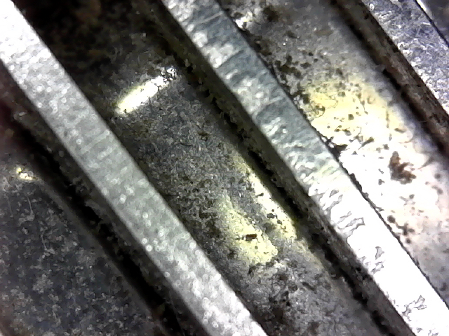 The blades of a penknife