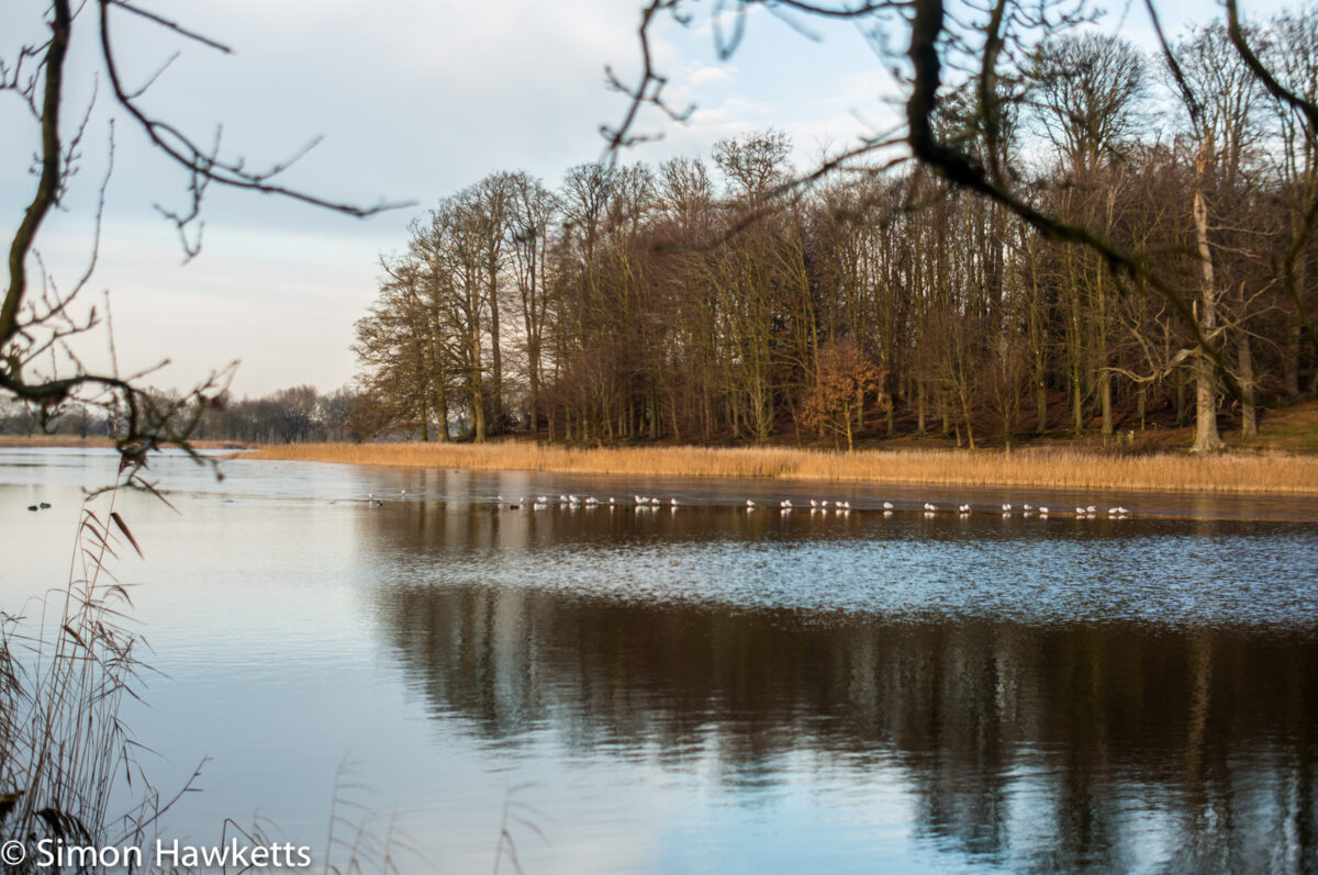 Blickling Hall National Trust property pictures - Blickling hall lake frozen