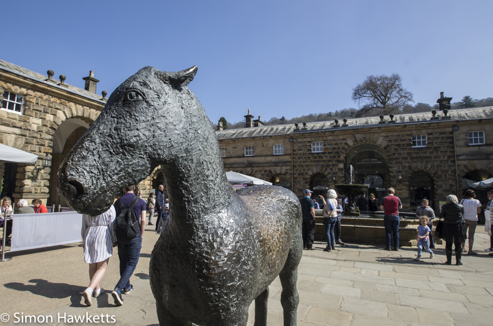 Chatsworth house pictures - horse in the courtyard