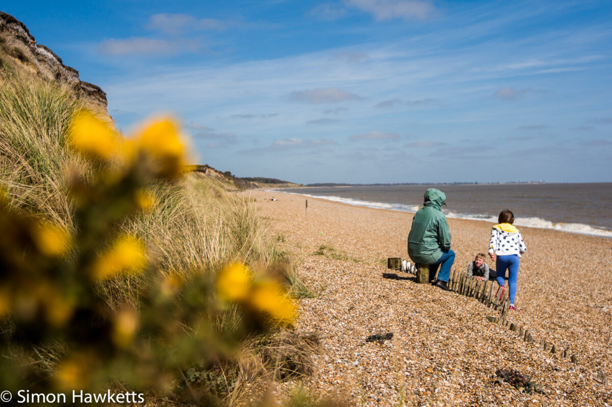Dunwich Heath Suffolk pictures - A family playing on the beach in the background