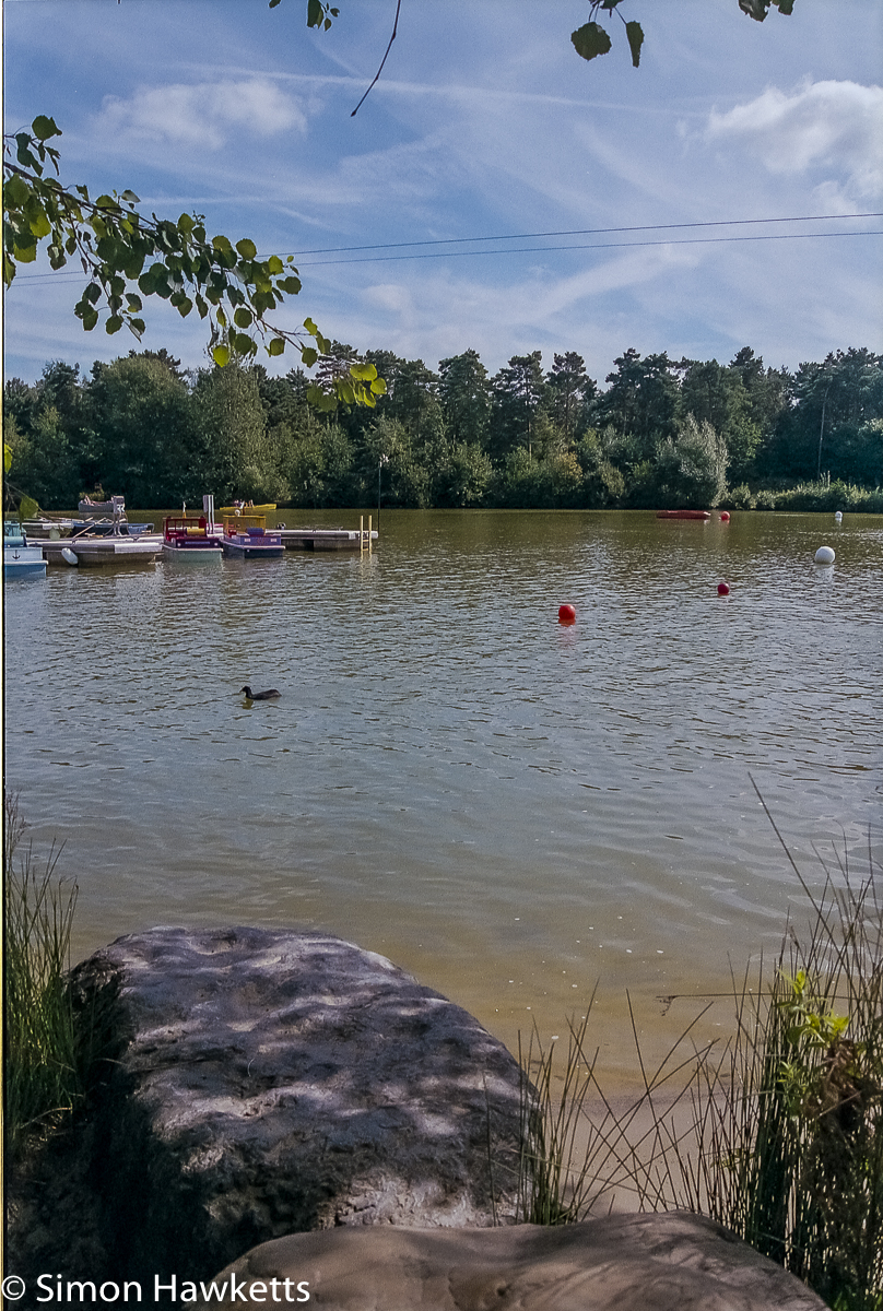 Elveden Forest Centerparcs on film - Boats and ducks