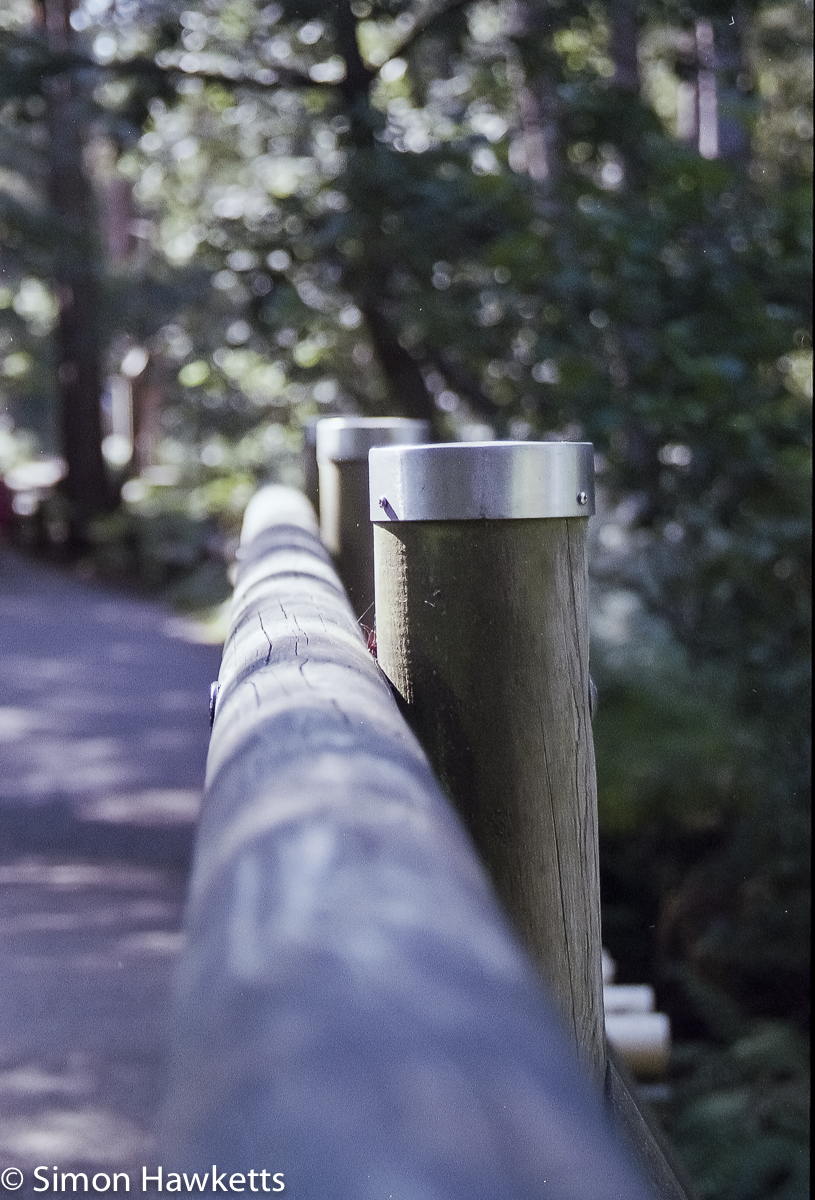 Elveden Forest Centerparcs on film - bridge post