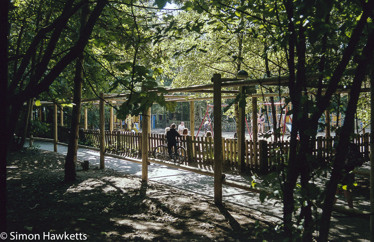 Elveden Forest Centerparcs on film - playground in the sunlight