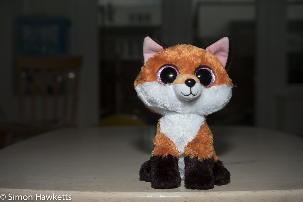 Fuji X-T1 and Yongnuo flash experiments - subject closer to camera