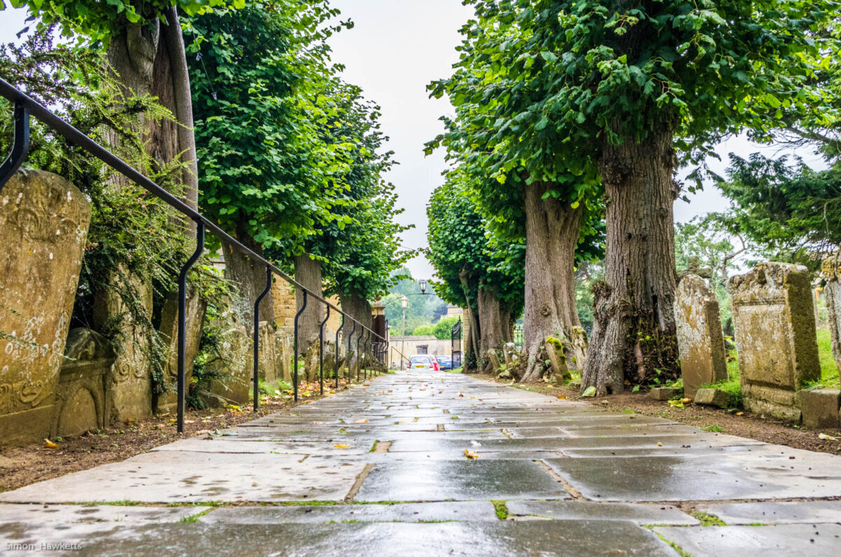 The tree lines avenue at St James's Church, Chipping Campden