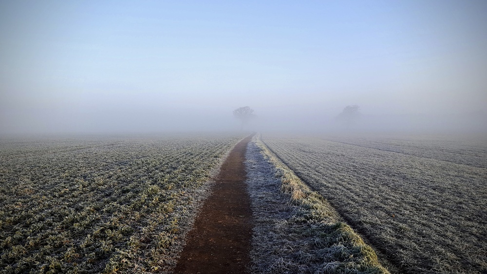 Misty Photos - Path