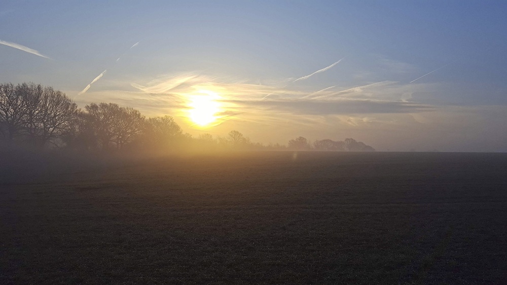Misty Photos - Sunrise
