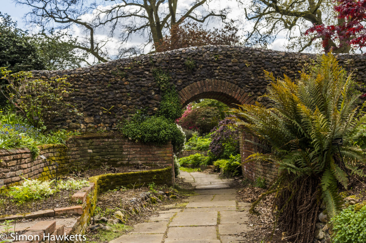 Pictures from Bressingham gardens in Norfolk - Small Bridge