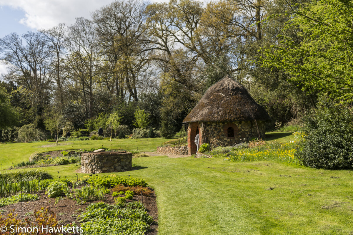 Pictures from Bressingham gardens in Norfolk - The gardens